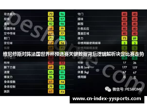维尼修斯对阵法国世界杯预选赛关键数据背后逻辑解析决定比赛走势