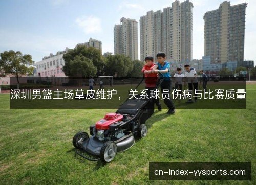 深圳男篮主场草皮维护，关系球员伤病与比赛质量